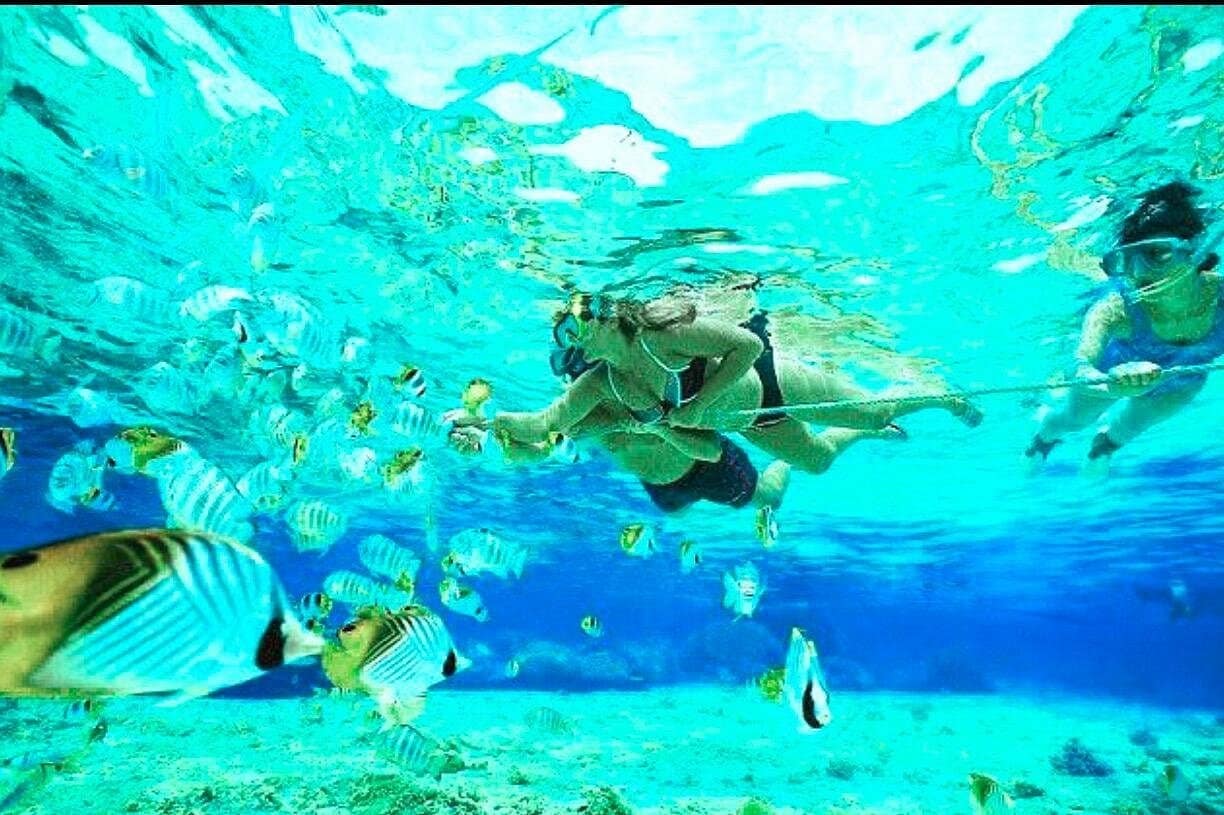 Bali - Blue Lagoon Snorkeling, Lunch, with ATV and Transport 2