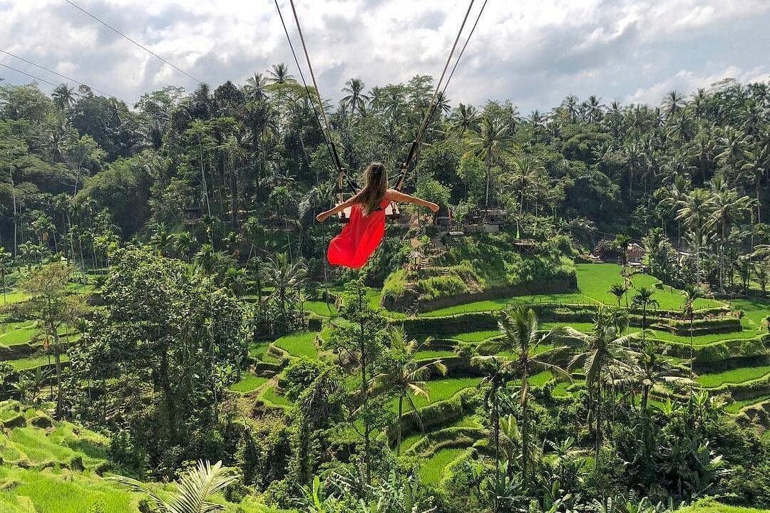 Bali - Minimum of two: Monkey Forest, Jungle Swing, Rice Terrace and Water Temple