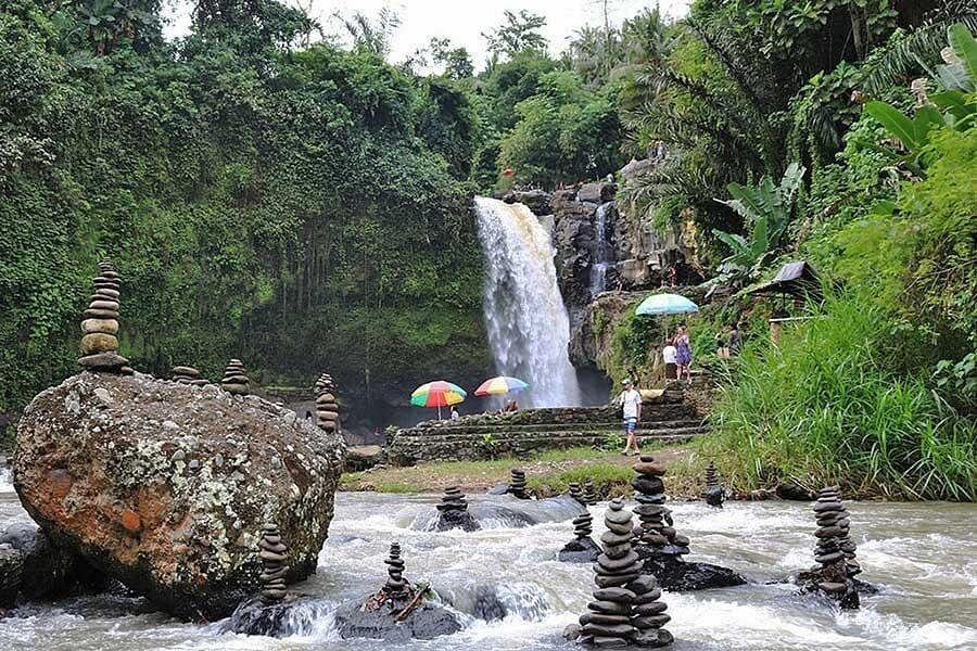 Bali - Minimum of two: Monkey Forest, Jungle Swing, Rice Terrace and Water Temple 2
