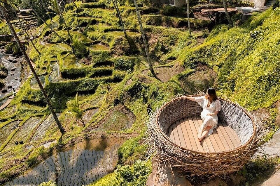 Bali Minimum of Two: Monkey Forest, Jungle Swing, Rice Terrace and Water Temple 4