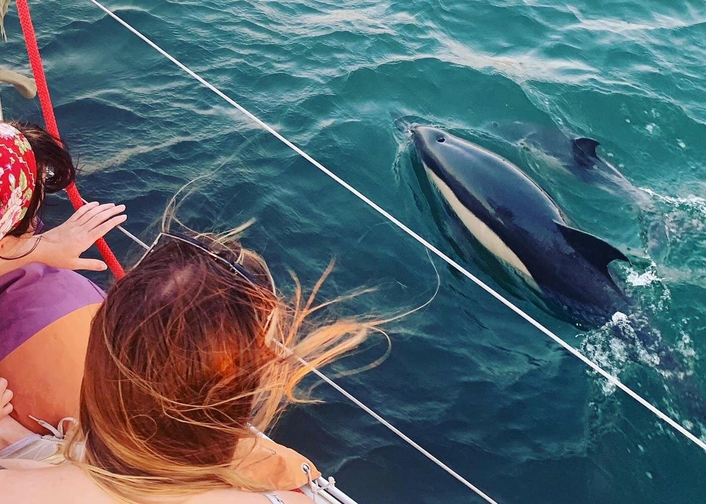 2hr Lisbon Sunset and Wine Sailboat tour - High season (Mar - Oct) 4