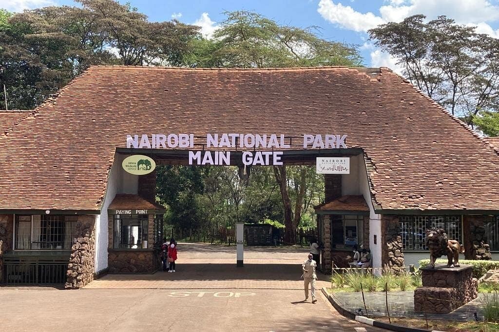 Nairobi National Park Tour Half Day 3