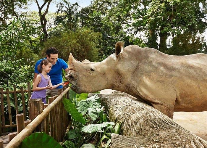 Singapore Zoo 3