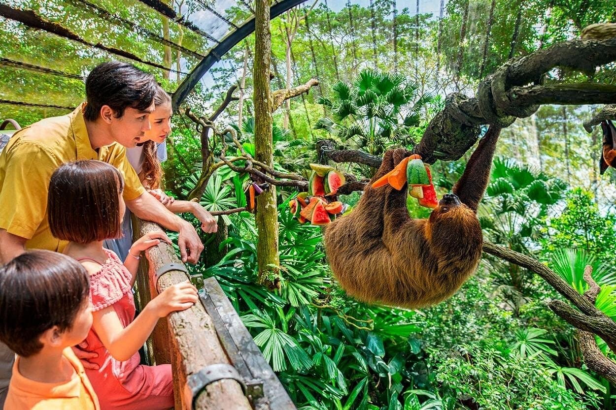 Singapore Zoo 4