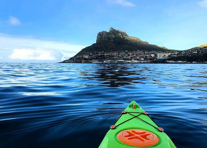 Cape Town - Guided Kayaking in Hout Bay 4