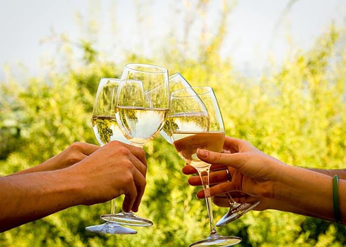 Cape Town - Wine Tour: Paarl, Franschhoek & Stellenbosch incl 3 wineries 2