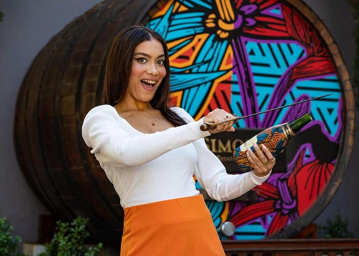 Cape Town - Wine Tour: Paarl, Franschhoek & Stellenbosch incl 3 wineries 4