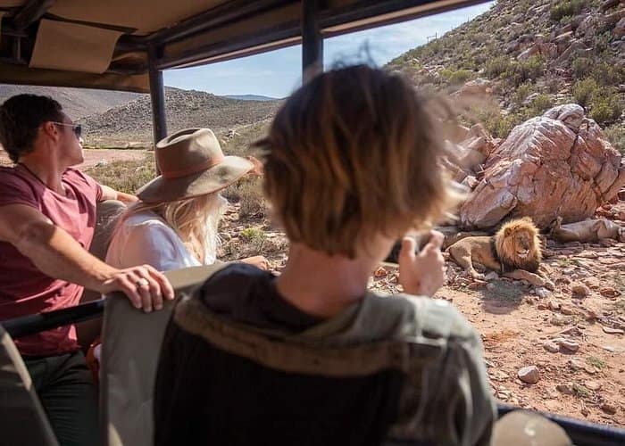 Big Five Safari Experience Near Cape Town ,South Africa 4