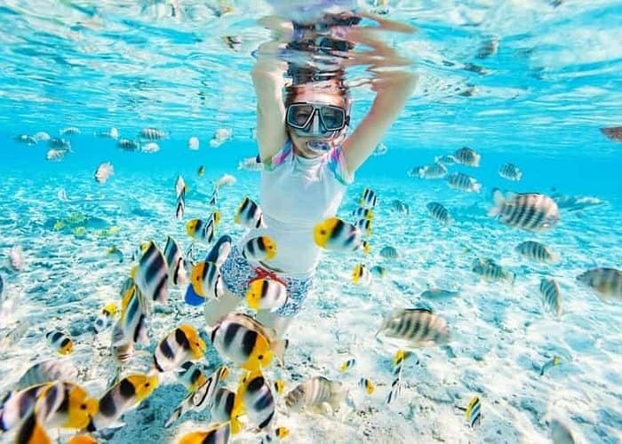 Sharm el Sheikh - Ras Mohammed & White Island: Snorkeling and boat trip 3