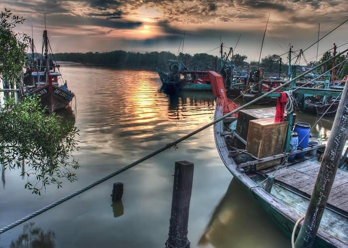 Kuala Lumpur - Glowing Kuala Selangor Firefly Tour 2