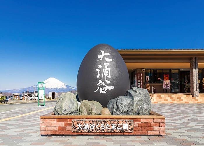 Tokyo: Mt. Fuji Hakone tour, Cable car&Optional Lake Ashi Cruise 3