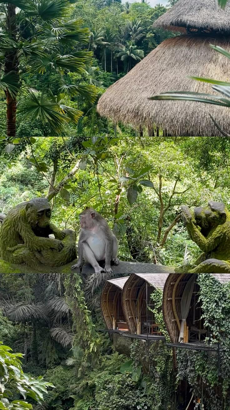 BALI 2