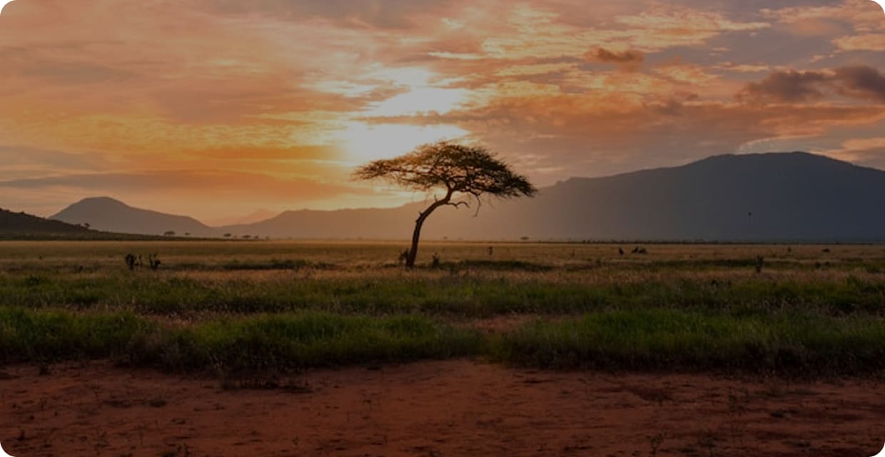 Discover South Africa