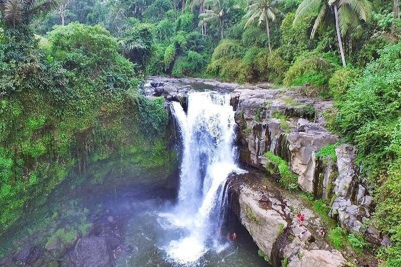 Bali Minimum of Two: Monkey Forest, Jungle Swing, Rice Terrace and Water Temple
