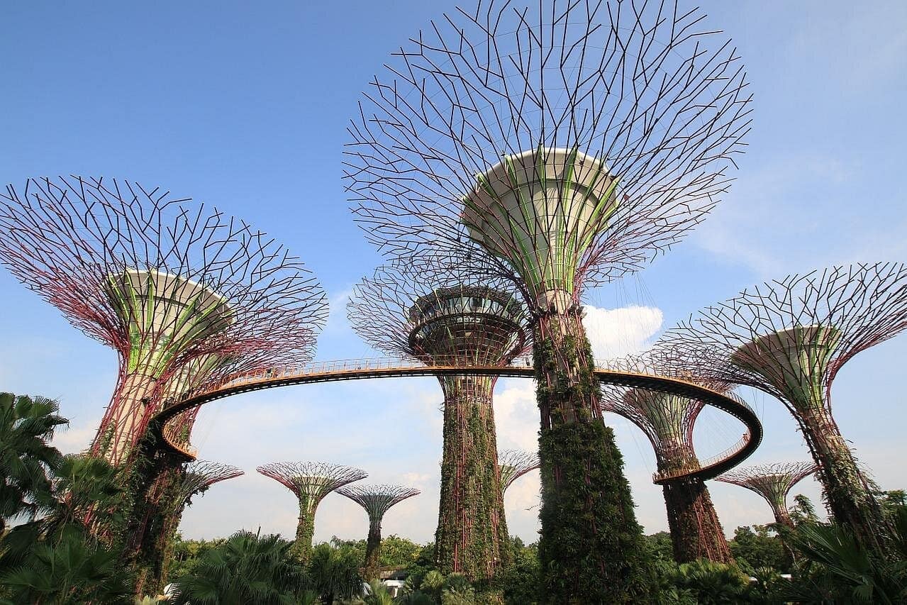 Singapore 4 Hours Private City tour - Group of 1 - 3