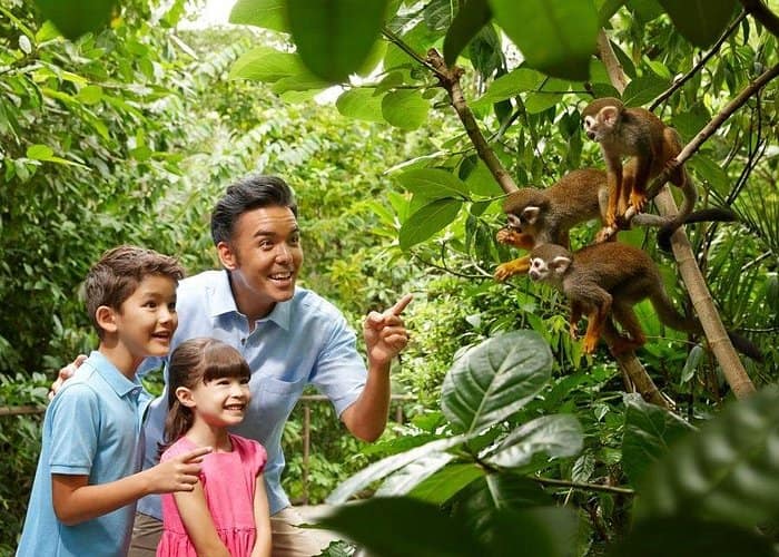 Singapore Zoo