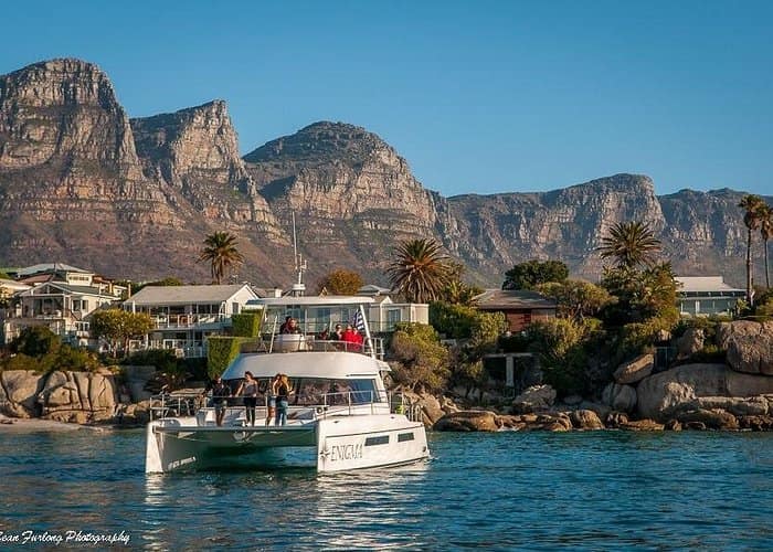 1 Hour Coastal Catamaran Cruise from Cape Town