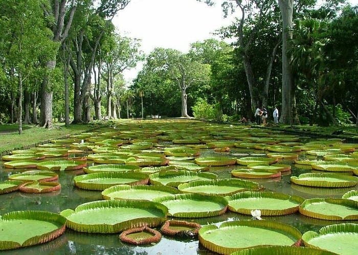 Group of Four - Private taxi : North guided tour of Mauritius.
