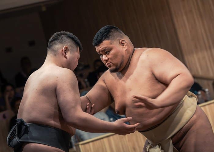 Tokyo Shinjuku Sumo Show & Experience with Photo